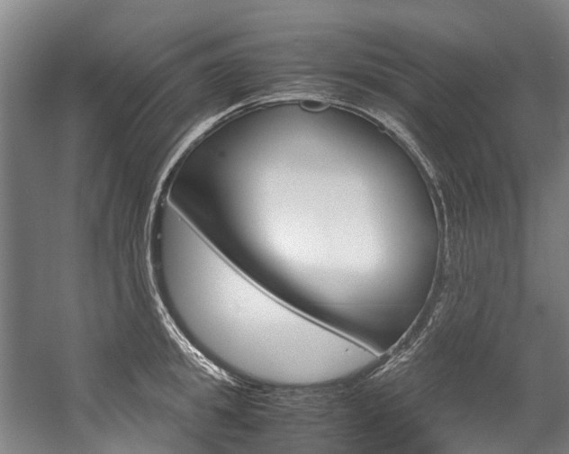 X0000058110949200509230816