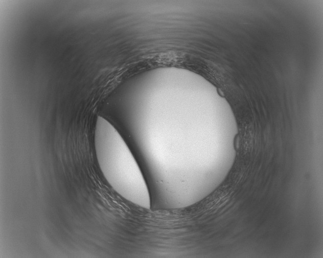 X0000058110962200509230816
