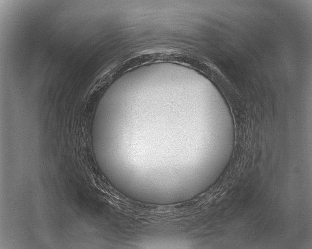 X0000058110967200509230816