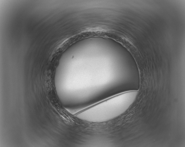 X0000058110968200509230816