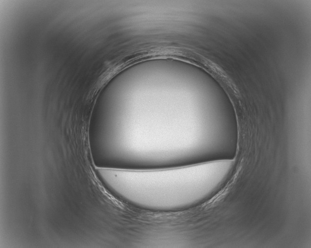 X0000058110985200509230815
