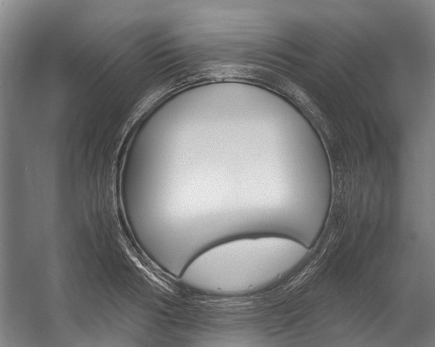 X0000058110986200509230815