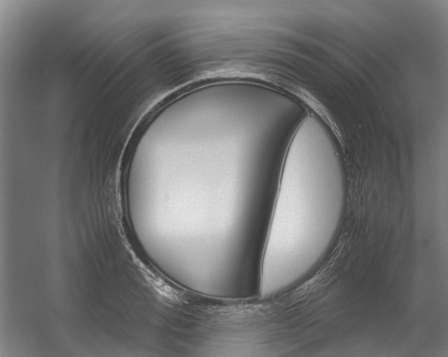 X0000058110988200509230815