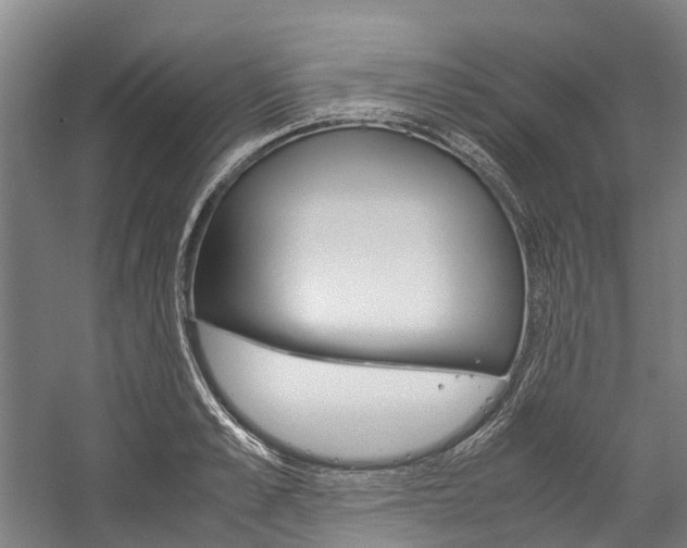X0000058110989200509230815
