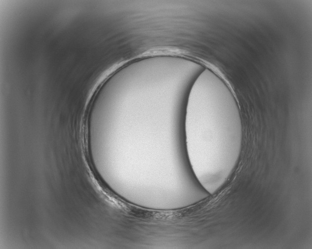 X0000058111003200509230815