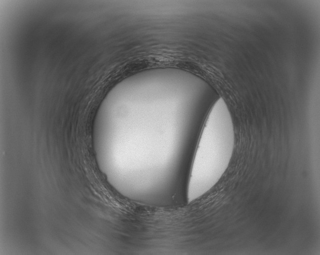 X0000058111009200509230814