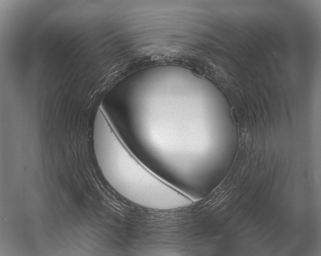 X0000058111012200509230814