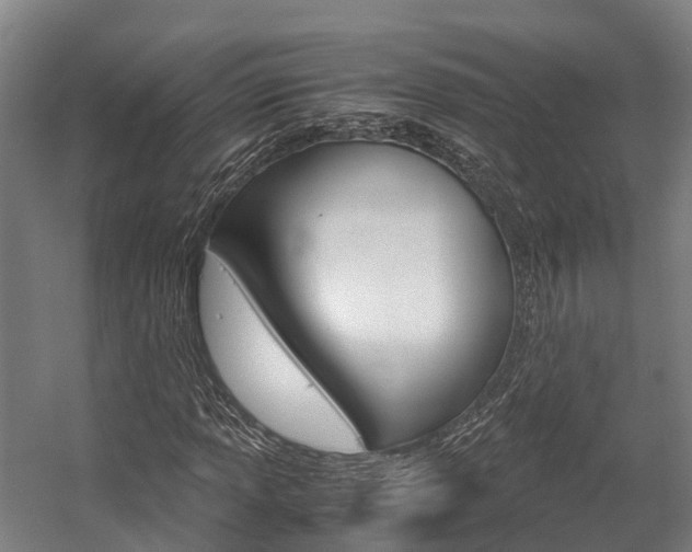 X0000058111013200509230814