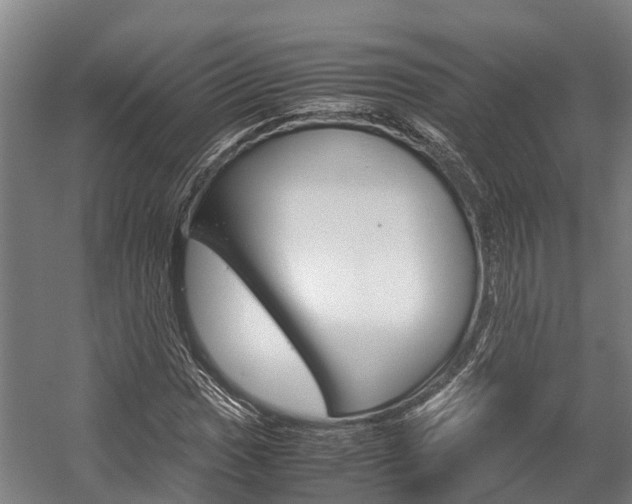 X0000058111017200509230814