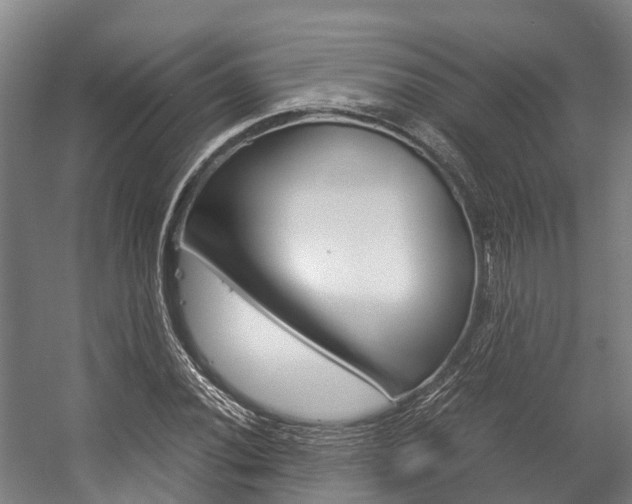 X0000058111020200509230814