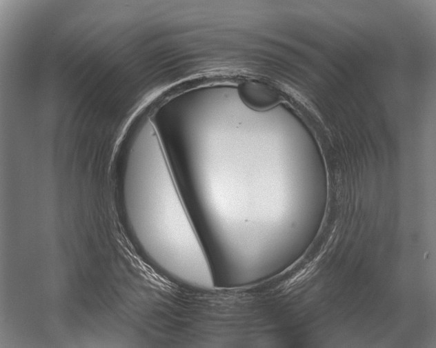 X0000058111021200509230814