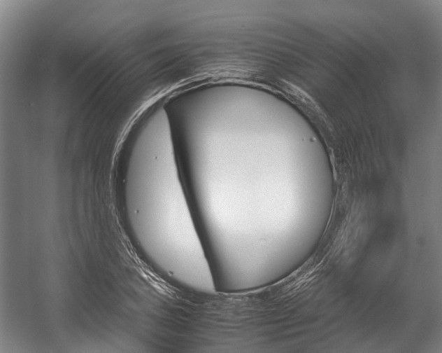 X0000058111027200509230815