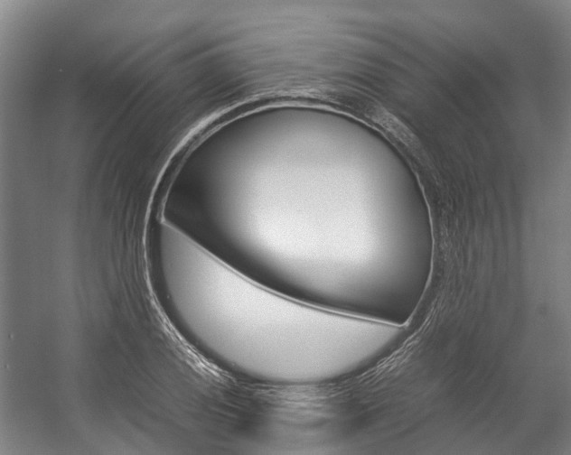 X0000058111028200509230815