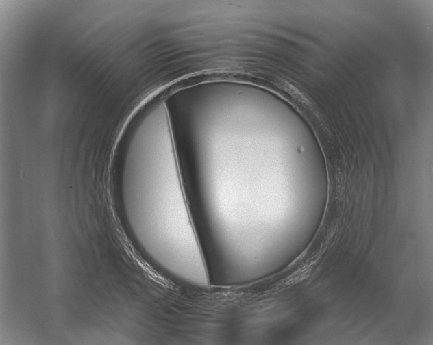 X0000058111029200509230815