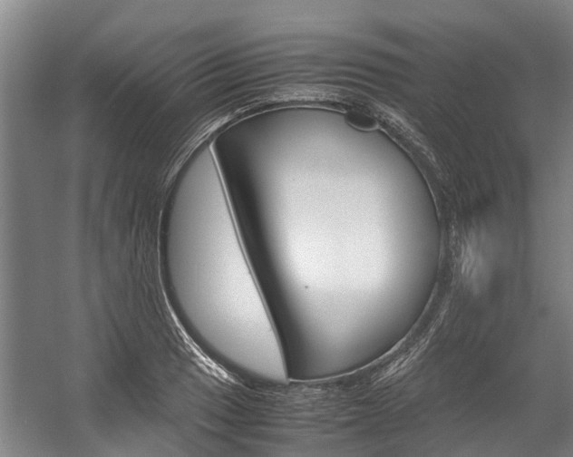 X0000058111033200509230815