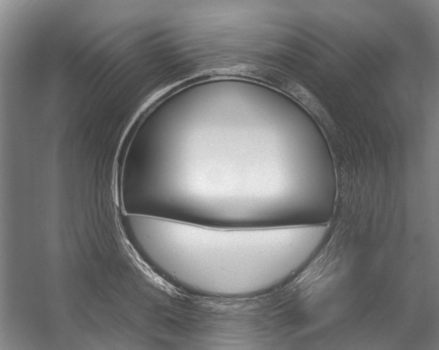 X0000058111036200509230815