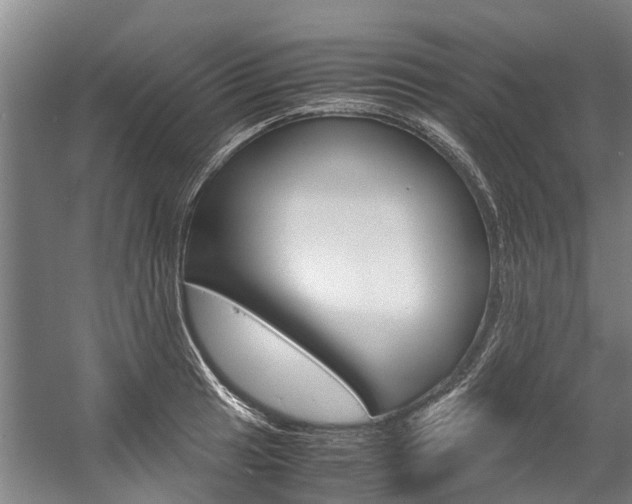 X0000058111041200509230815