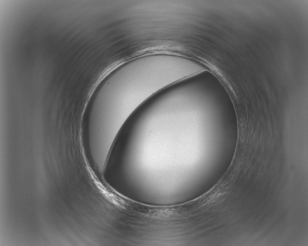 X0000058111042200509230815