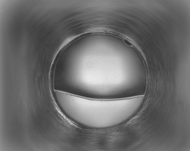 X0000058111045200509230815