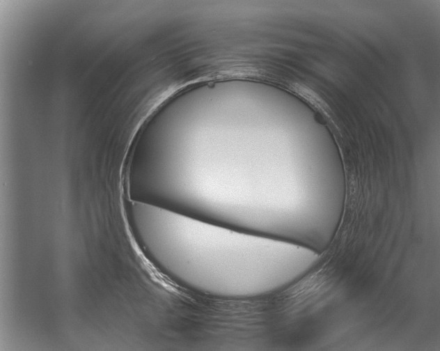 X0000058111047200509230815