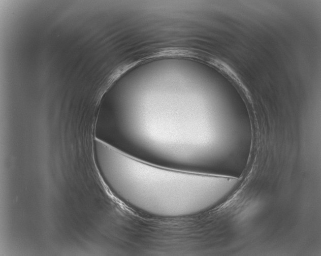 X0000058111049200509230815
