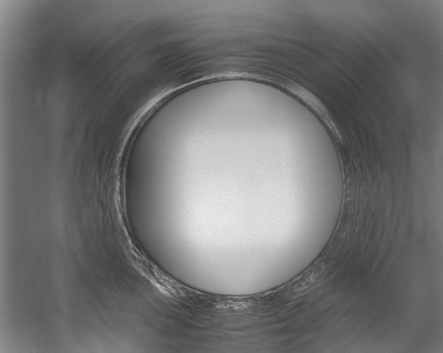 X0000058111051200509230815