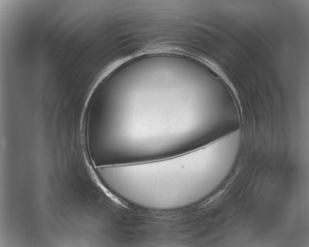 X0000058111053200509230815