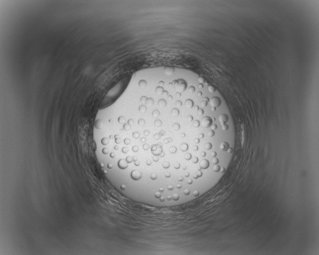 X0000058111059200509230814