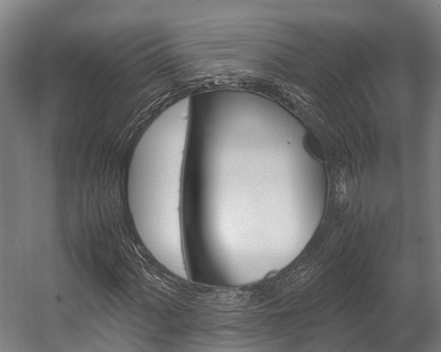 X0000058111060200509230814