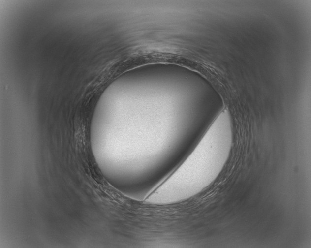 X0000058111061200509230814