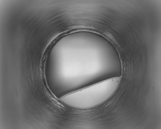 X0000058111068200509230814