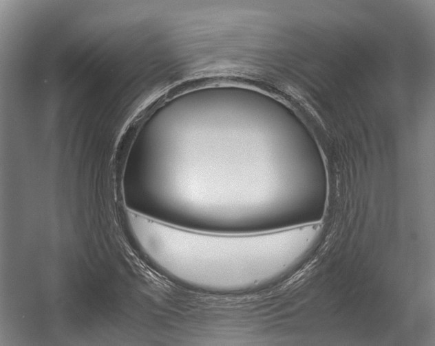 X0000058111069200509230814