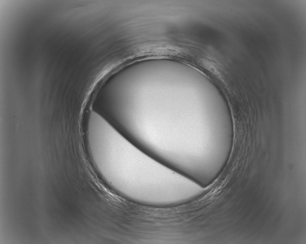 X0000058111071200509230814