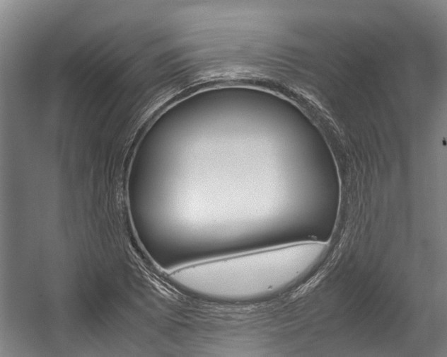 X0000058111073200509230814