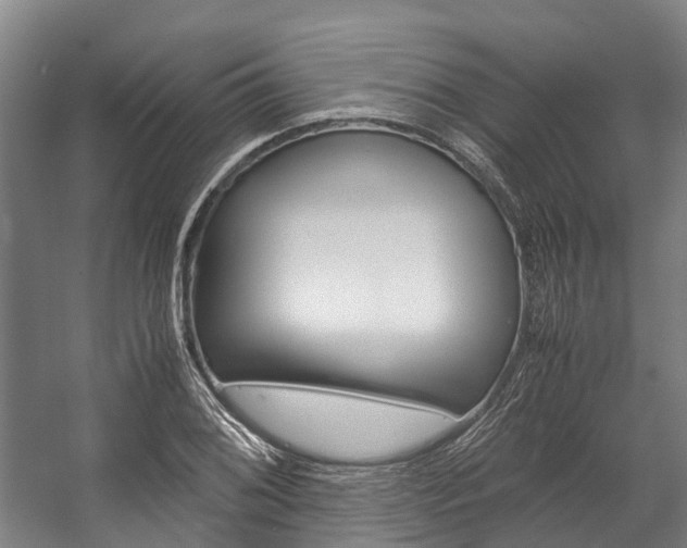 X0000058111076200509230814