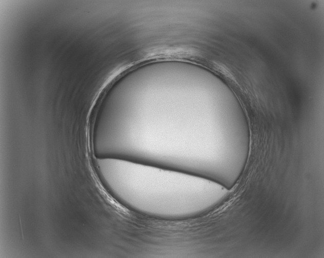 X0000058111079200509230814