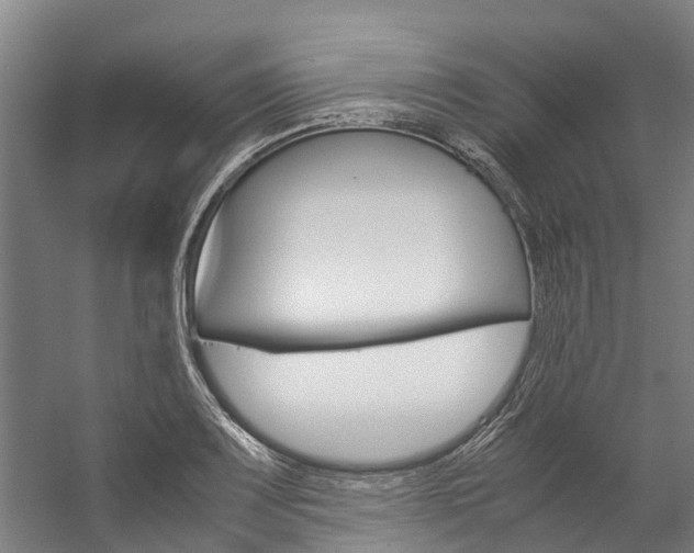 X0000058111083200509230814