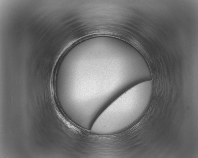 X0000058111084200509230814