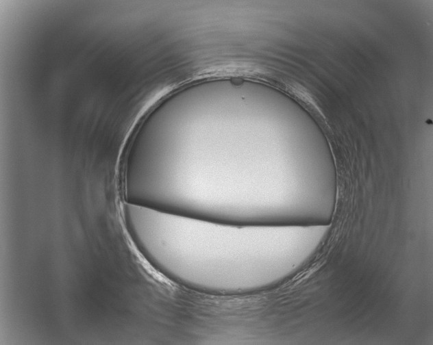 X0000058111087200509230814