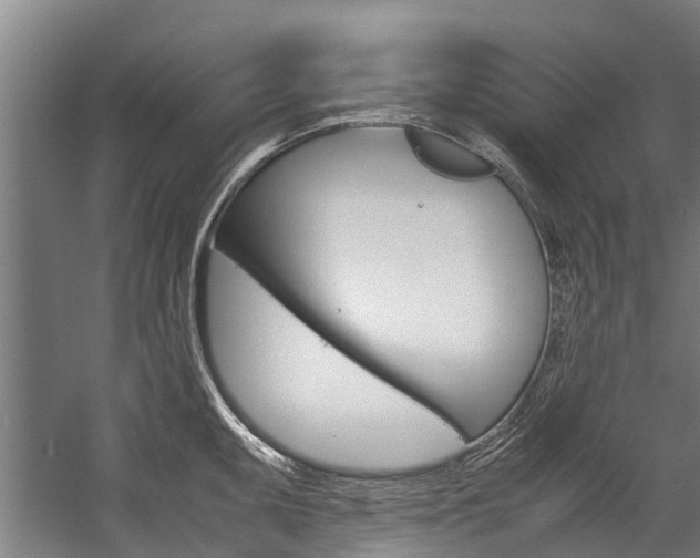 X0000058111095200509230814