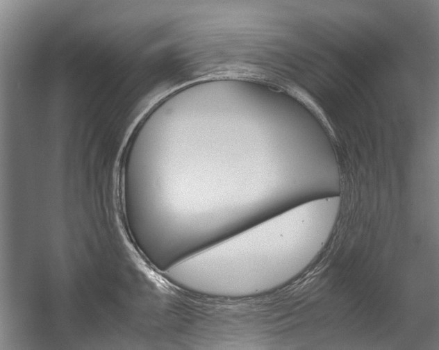 X0000058111099200509230814