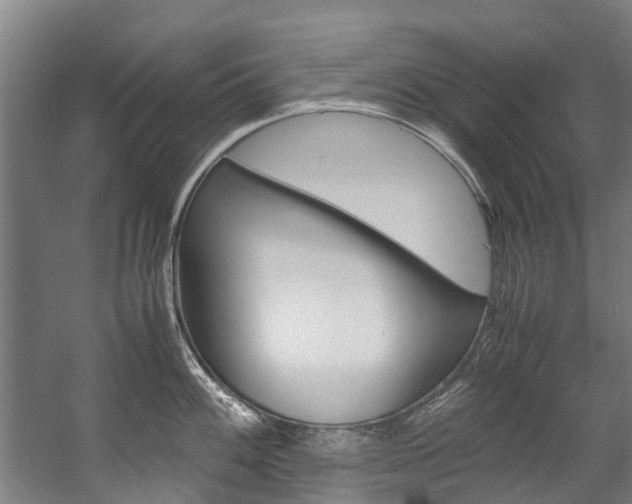 X0000058111100200509230813