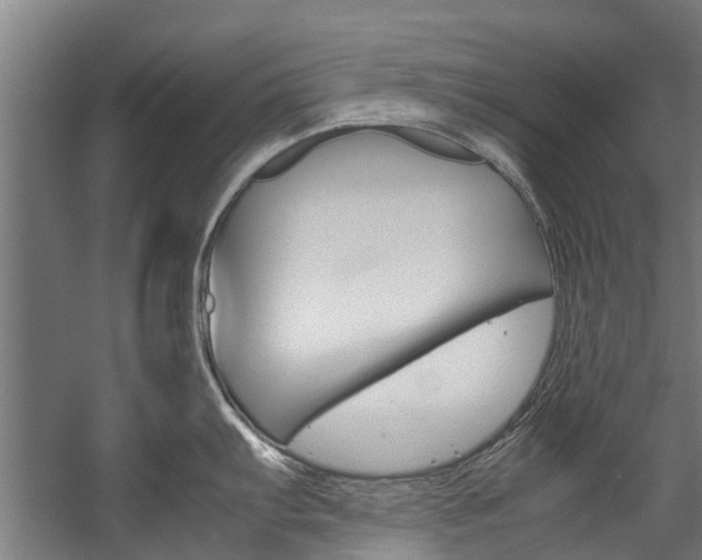 X0000058111103200509230813