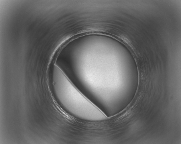 X0000058111119200509230813
