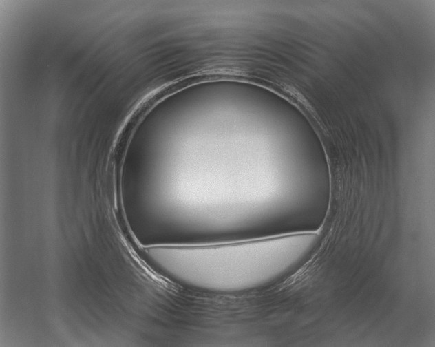 X0000058111123200509230813