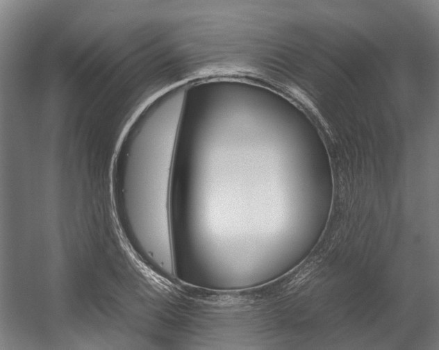 X0000058111124200509230813