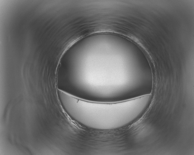 X0000058111145200509230813
