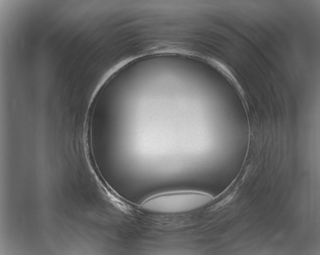 X0000058111149200509230813