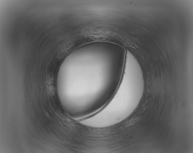 X0000058111156200509230813