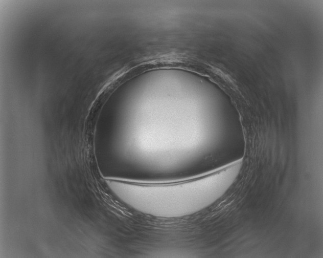 X0000058111160200509230812